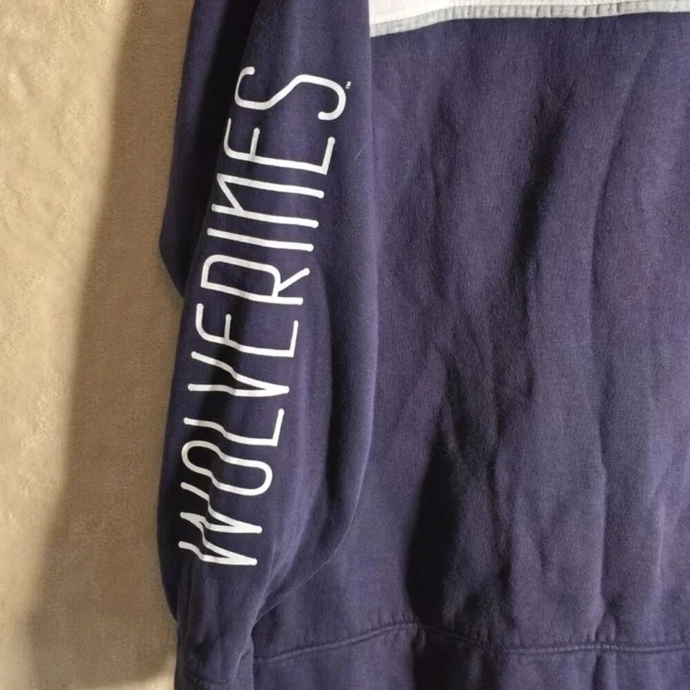 Champion University of Michigan‎ Wolverines Sweatshirt Men L Colorblock Vntg 312